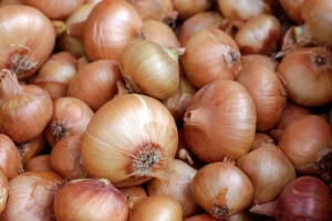 Onion prices skyrocketed in just a week, bringing tears to people's eyes