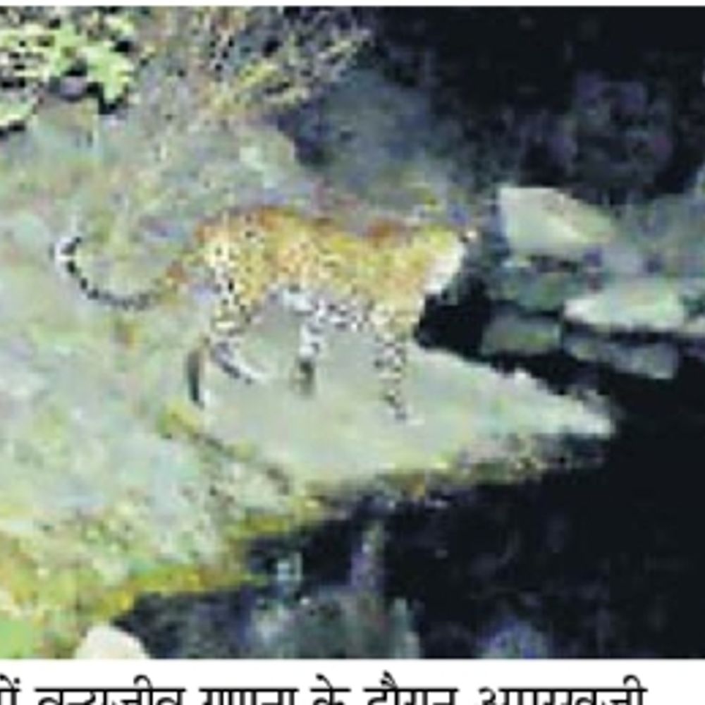 24udaipurcity pg 2 0 f25690f4 c97e 4d2a b025 a38271a8bad3 large AKXCRi