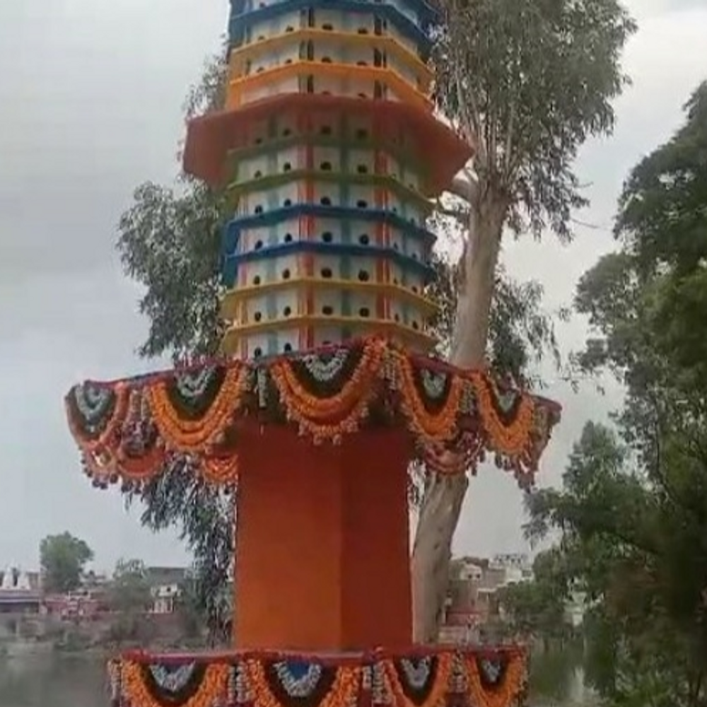 पाली में बना देश का पहला तोता घर:53 मंजिला तोताघर में 750 फ्लैट, रह सकेंगे 1500 तोते 1 pali07 1721452622 jEsNF7