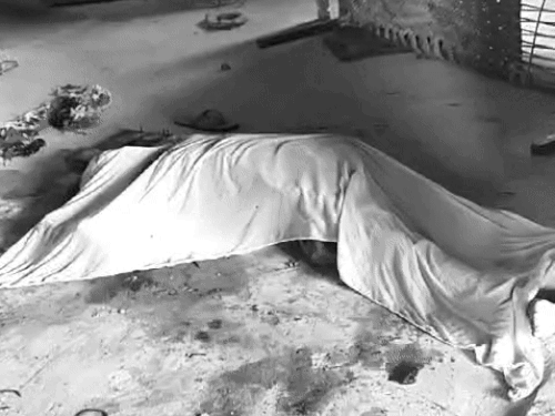 फावड़े से सिर फोड़कर पत्नी की हत्या कर पीया जहर:फंदे से लटक कर पति ने की जान देने की कोशिश 1 whatsappvideo2024 07 19at61627pm ezgifcom effects 1721393678 bbYiW5