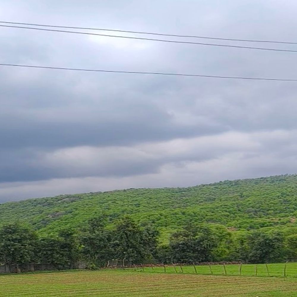 सवाई माधोपुर में रूठे बादल, उमस से लोग परेशान:येलो अलर्ट के बावजूद पिछले 4 दिनों से नहीं हुई बारिश, तापमान 34 डिग्री 1 1001163816 1751253681 YDLcvP