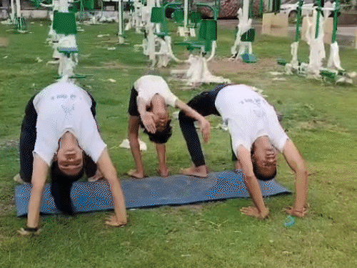 दुनिया के सबसे छोटे योग गुरु, कोटा के प्रत्यक्ष विजय:4 साल की उम्र में माता-पिता से सीखा योग, अब तीन विश्व रिकॉर्ड हैं नाम 1 gif 65 2 1750409103 OCaEXO