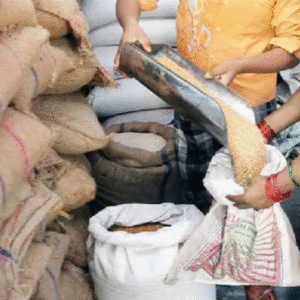 खाद्य सुरक्षा योजना से नाम हटवाने का आज अंतिम मौका:नहीं तो होगी वसूली की कार्रवाई, अब तक 2751 अपात्र परिवारों ने स्वेच्छा से हटवाया नाम