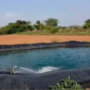 खेत तलाई से बुझ रही फसलों की प्यास:जल संकट से जूझते किसानों को मिली नई राह, बरसात का पानी कर रहे है एकत्रित