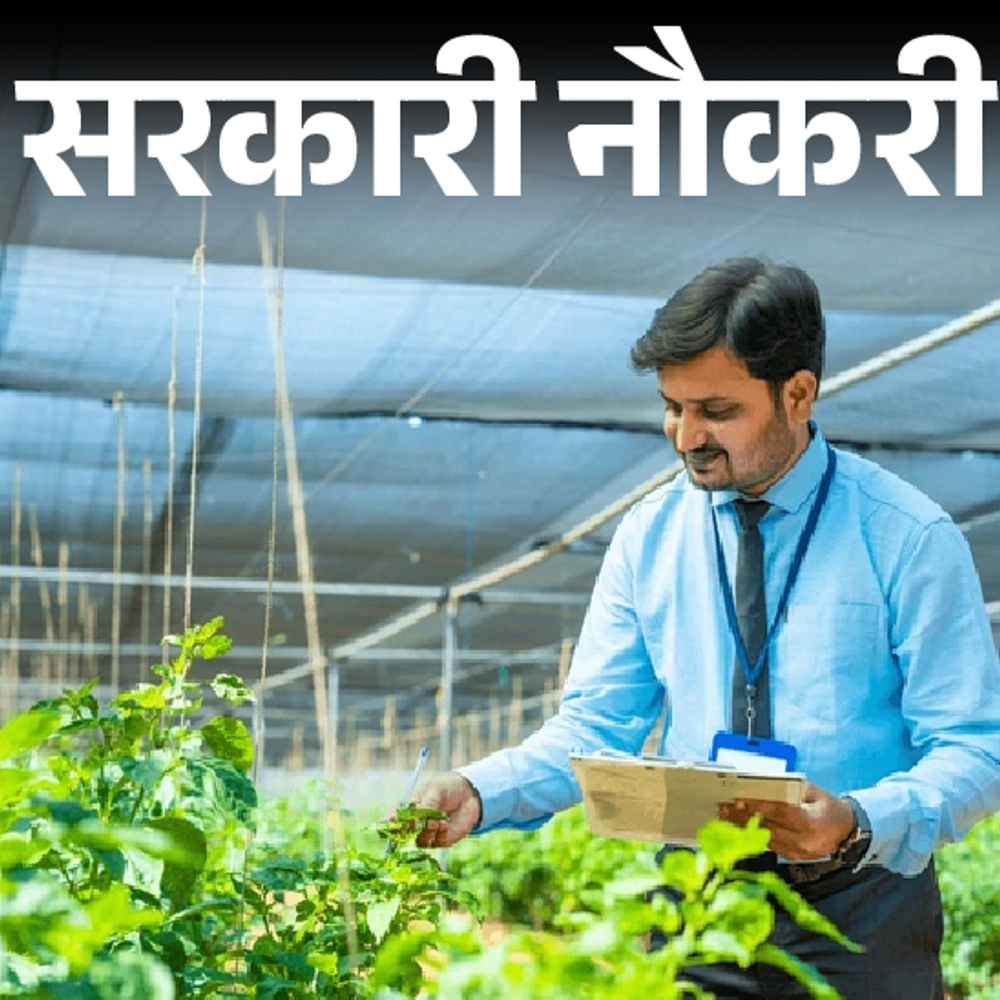 june25edu jobs news recovered 11 2 1750227624 WpBO0t