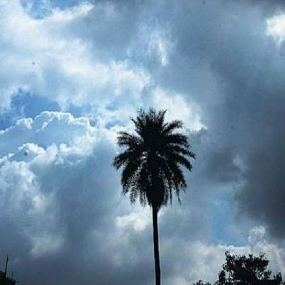 orig mp wether 321615609718 1749069752