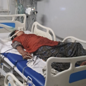 पाली में 4 जनों को सांप ने काटा:डिब्बे में पकड़कर कोबरा सांप को साथ लाए, बोले-डॉक्टर साहब इस सांप ने काटा है, इलाज करो