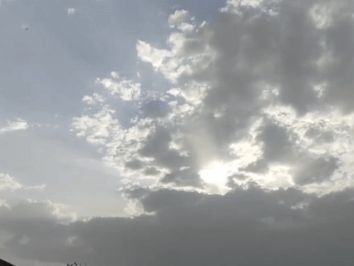 1000136849 1752645211