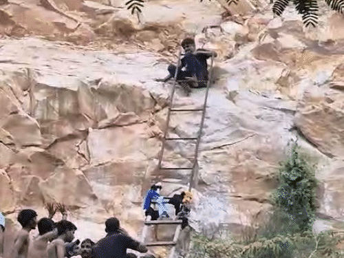 जयपुर में नाहरगढ़ पहाड़ी पर पार्टी के बाद युवक लापता:6 दोस्तों ने रातभर तलाश की, पुलिस ने सर्च ऑपरेशन चलाया, 21 घंटे बाद मिला 1 comp 51cover 1752670554
