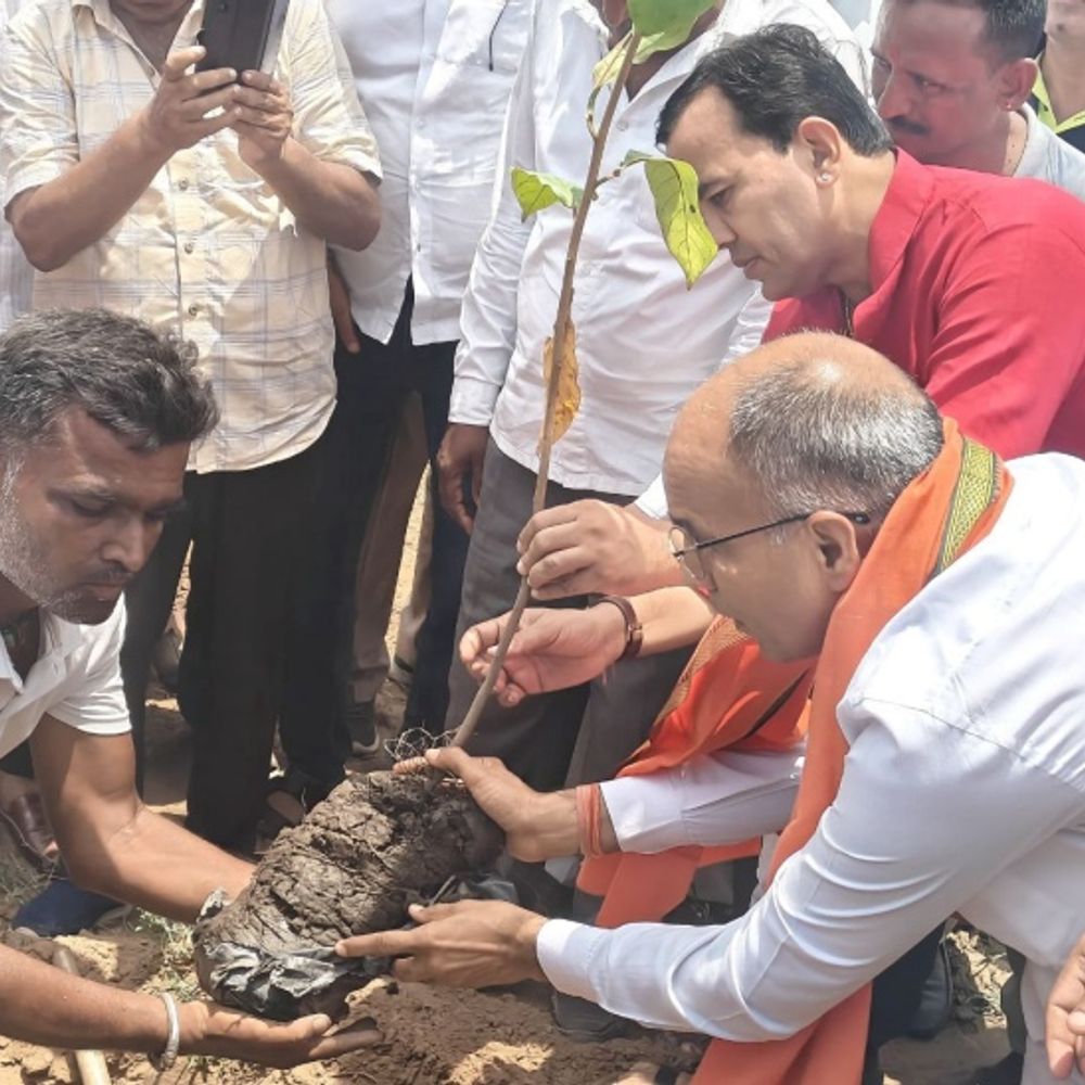 जेतपुरा में पीएचईडी मंत्री चौधरी ने किया पौधारोपण:बोले- पर्यावरण संरक्षण के लिए पौधरोपण आवश्यक 1 pali10 1752073619 imEhKP
