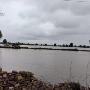 ग्रामीण क्षेत्र के सैकड़ो खेत पानी में डूबे:किसानों ने धान के बीज की बुवाई की हुई थी 24 घंटे में पानी नहीं उतरा तो गल जाएंगे बीज
